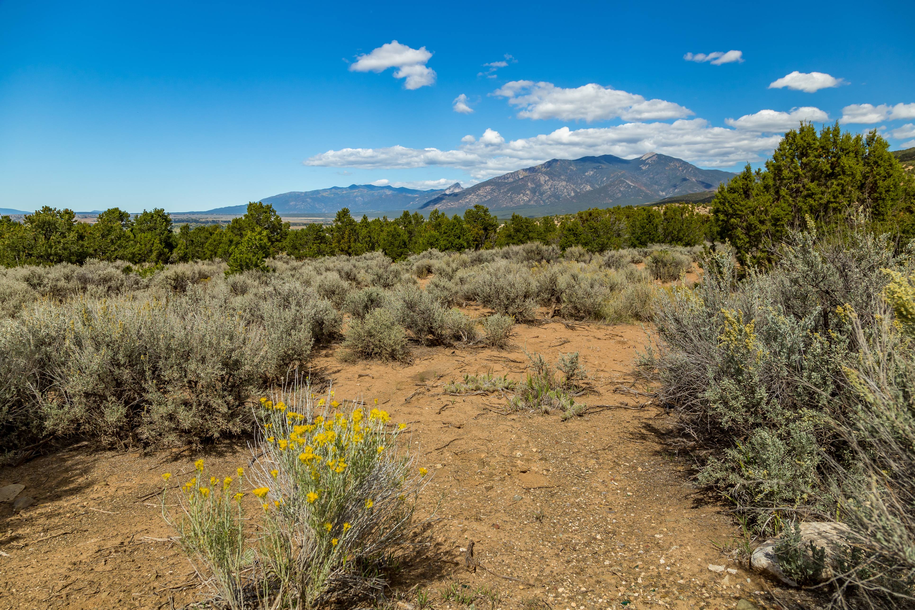 Miranda Canyon Commission