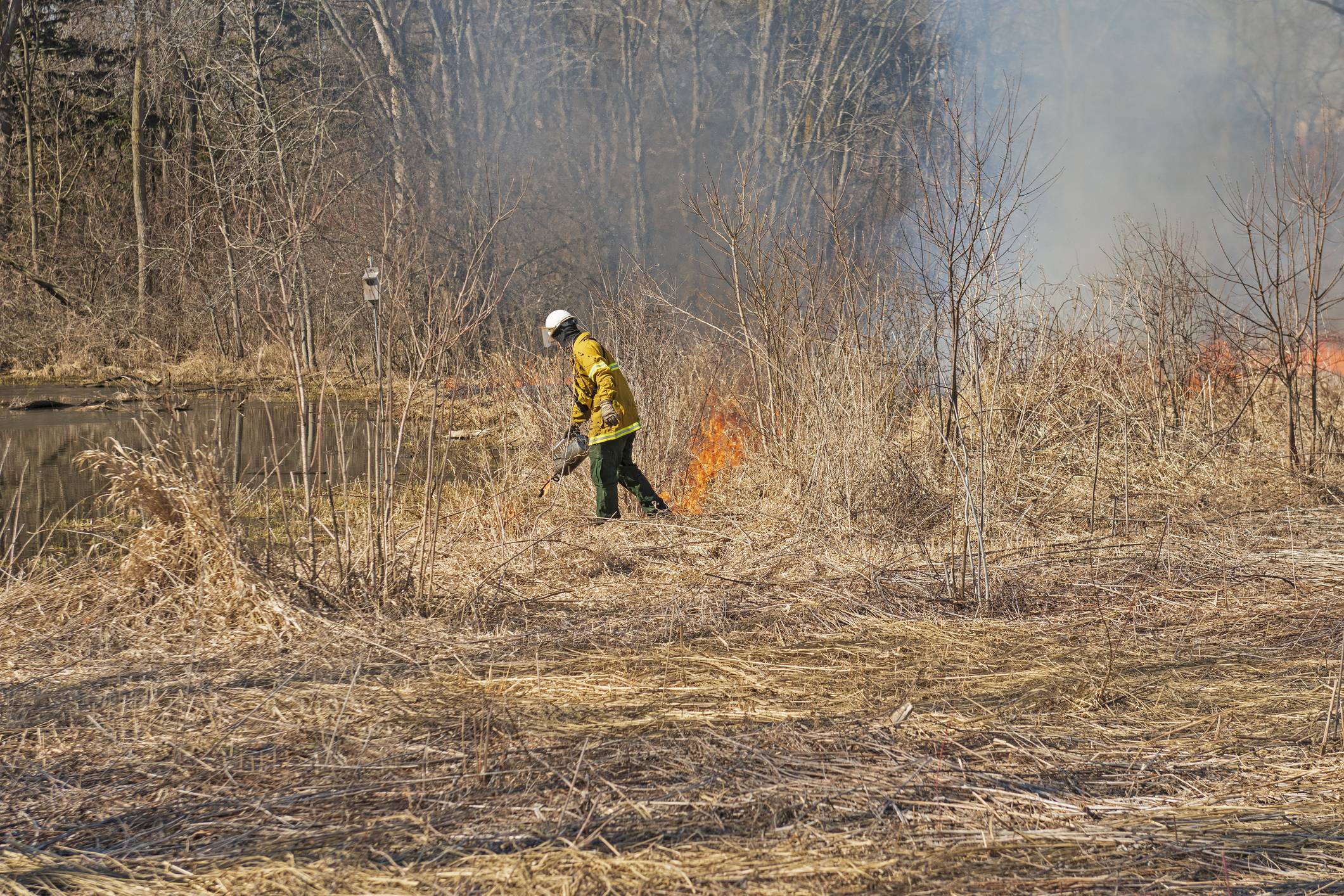 Colorado Prescribed Fire Statewide Strategy