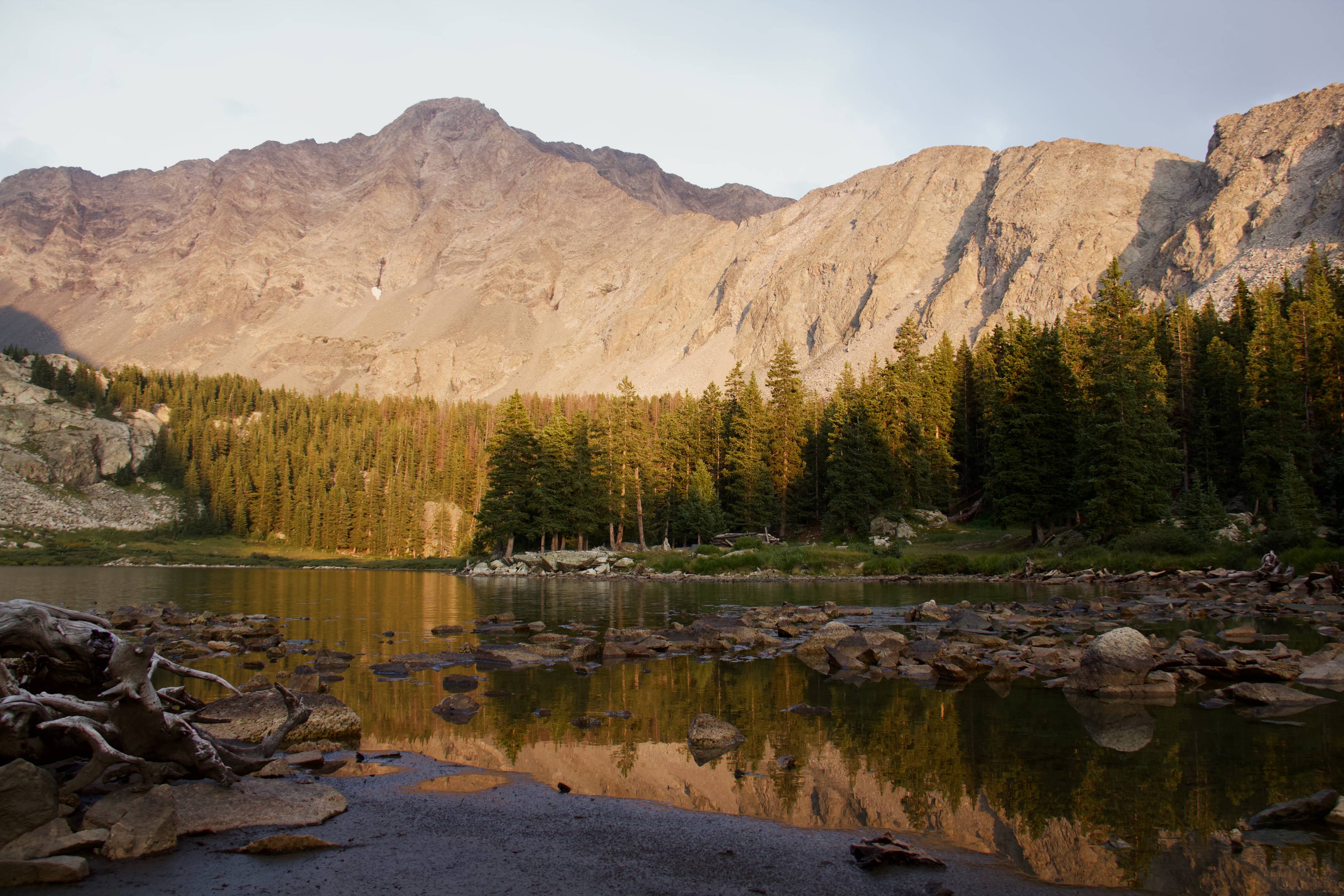 Rio Grande National Forest Plan Revision